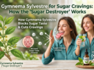Gymnema Sylvestre for Sugar Cravings: How the 'Sugar Destroyer' Works
